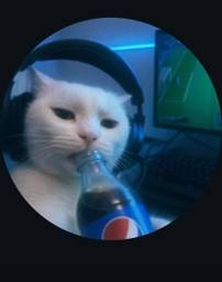 IntiGriti profile picture for @pc
