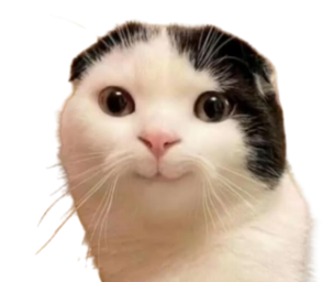 IntiGriti profile picture for @ash